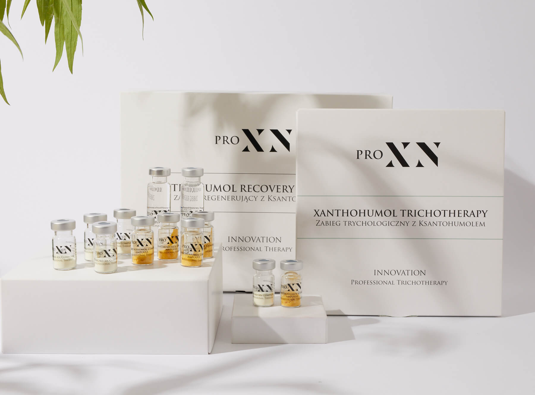 Strefa Zdrowia Wilanów w Warszawie - masaż, fizjoterapia, zabiegi - pro-xn